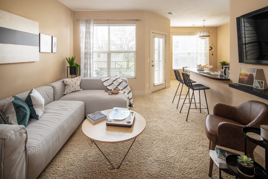 A living room with a grey sofa, a coffee table, and a television.
