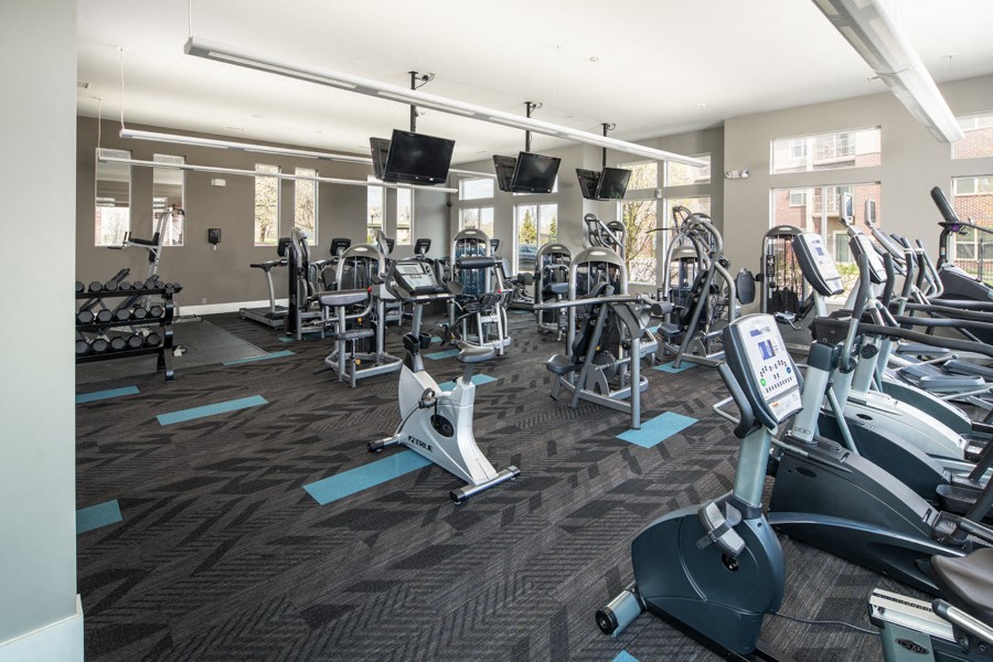 A gym with a variety of equipment including treadmills, stationary bikes, and weight machines.