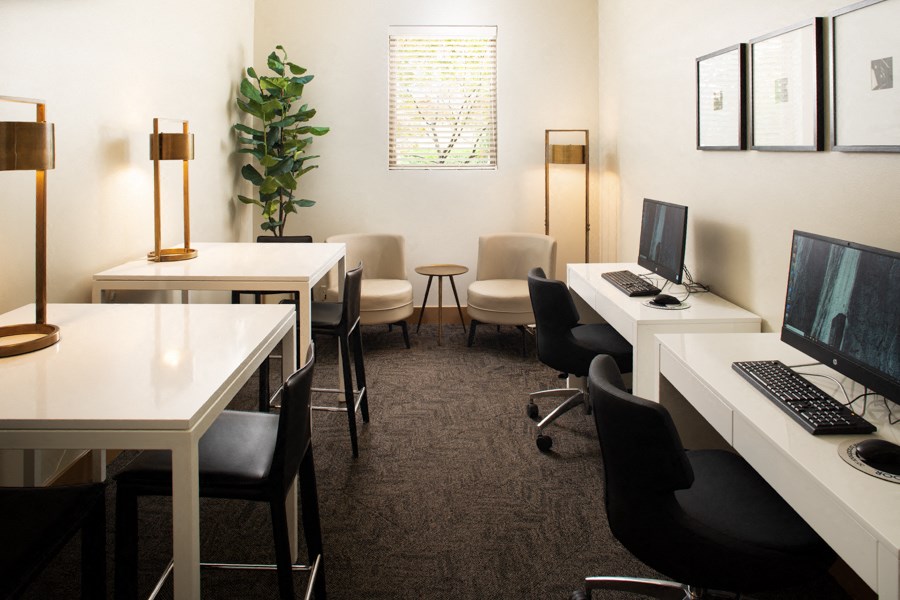 an office with computers and chairs and a plant