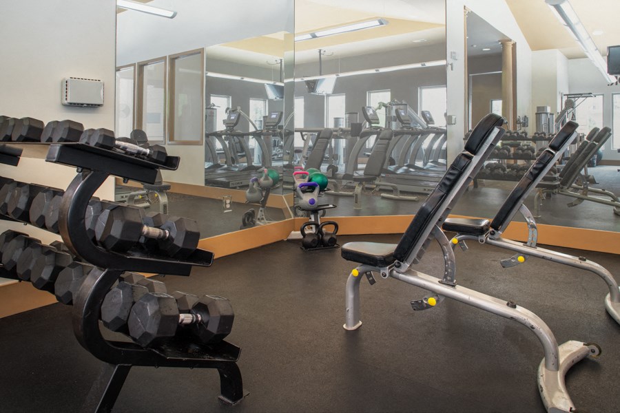 a gym with cardio equipment and weights on the floor