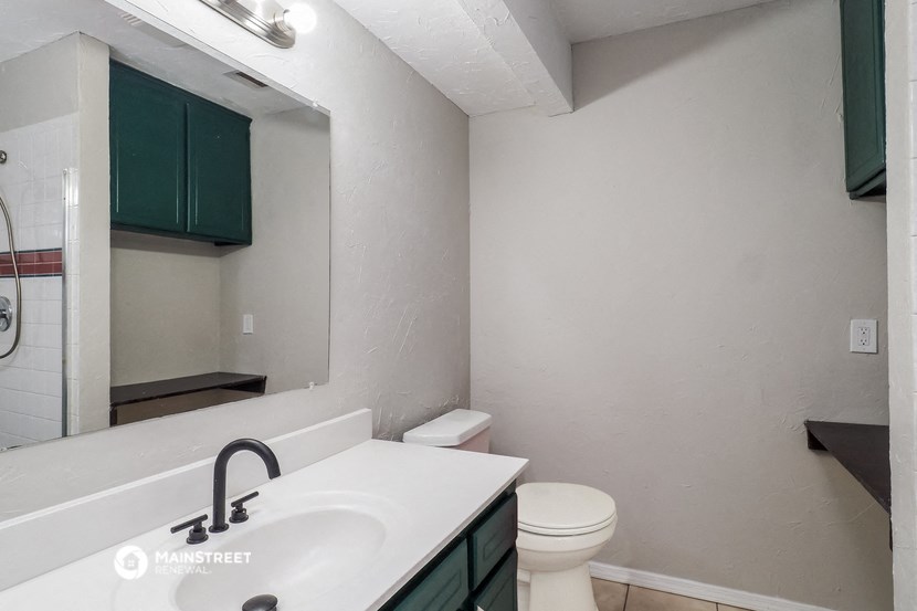 a bathroom with a sink and a toilet and a mirror