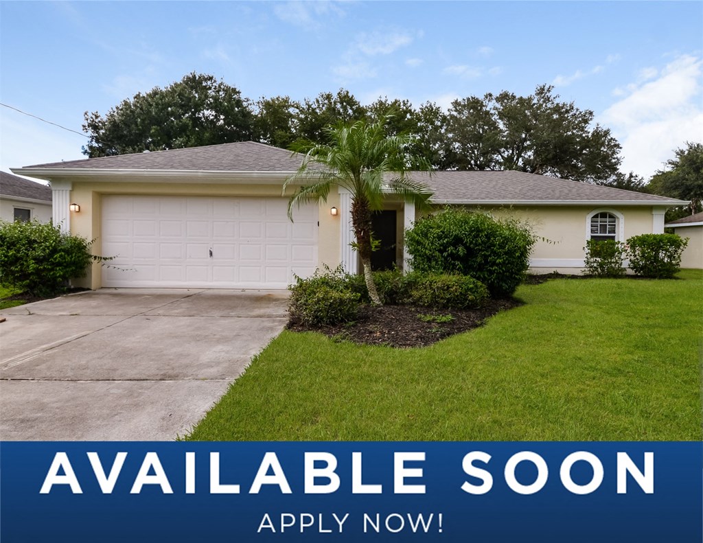 a suburban home with a palm tree in the yard