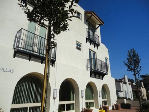 a white building with a tree in front of it