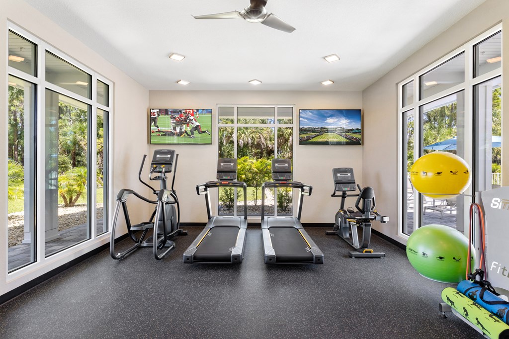 the gym at 1861 muleshoe road has cardio equipment and windows