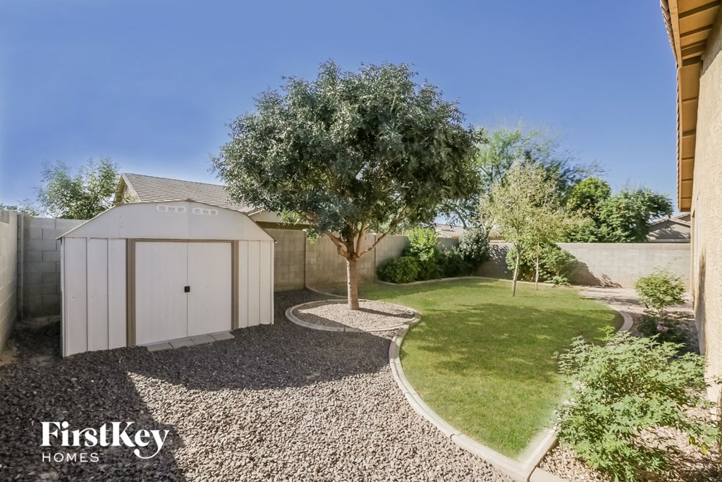 a backyard with a shed and an olive tree