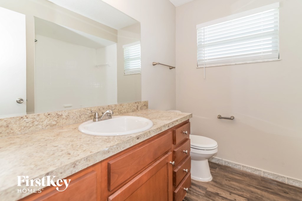 a bathroom with a sink and a toilet and a mirror