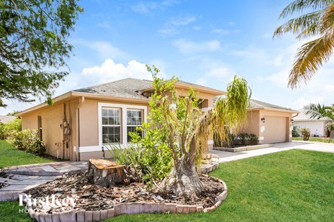 a house with a palm tree in the front yard