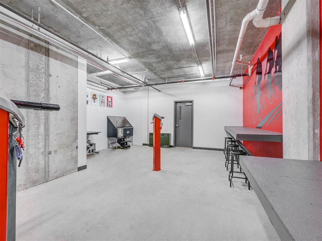 dog grooming station