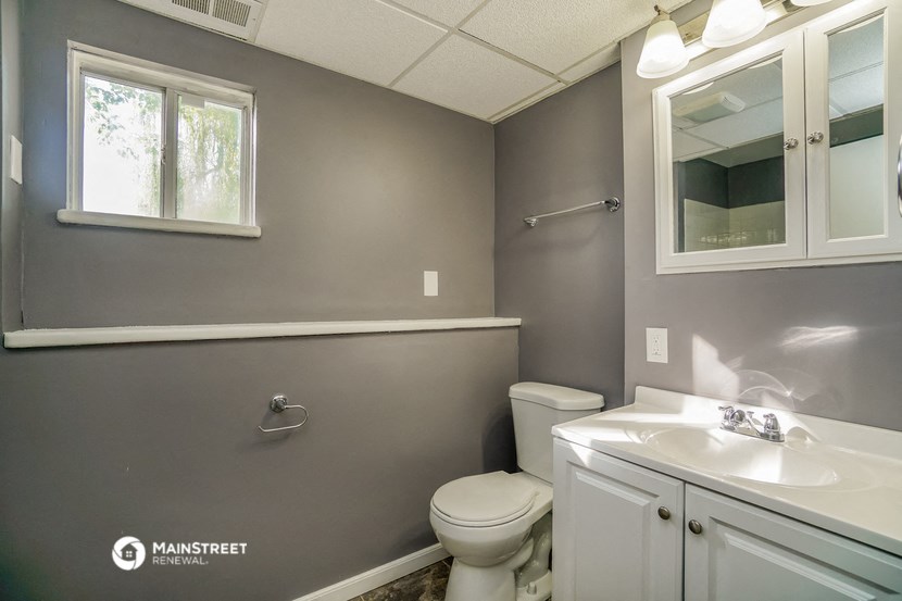 a bathroom with a toilet and a sink and a mirror