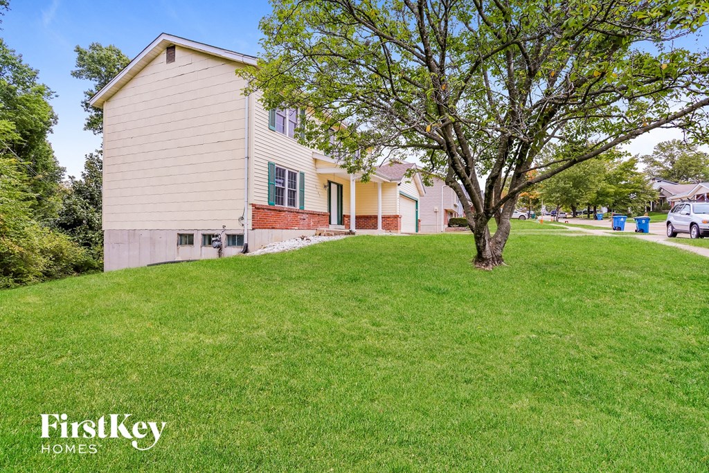 a house on a hill with a tree in the yard