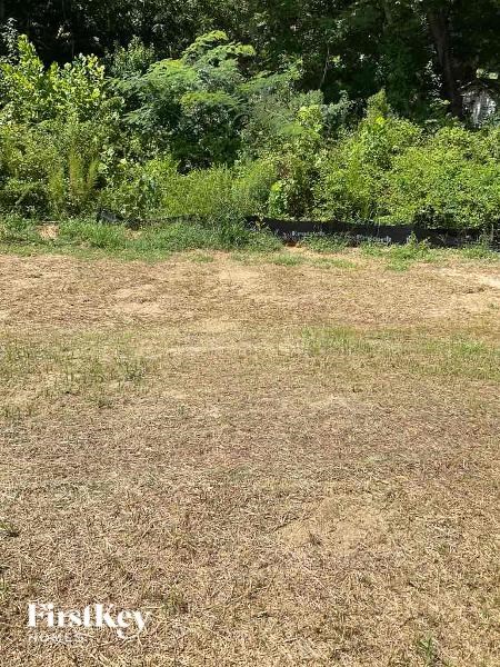a field of grass with trees in the background
