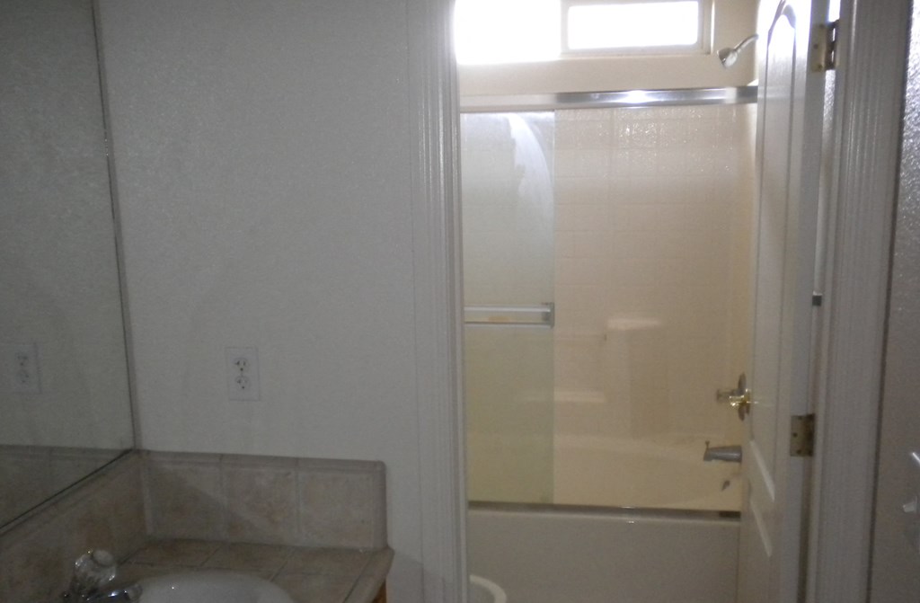 a bathroom with a sink and a shower