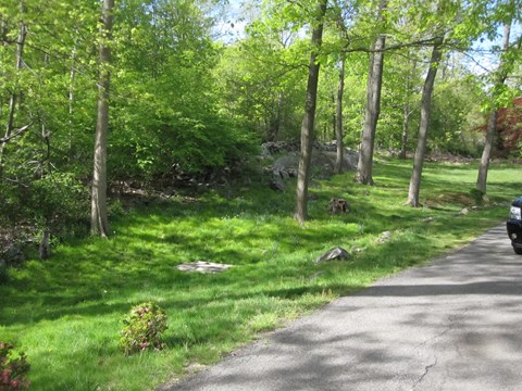 a car parked on the side of a road in the woods