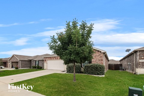 A tree stands in a grassy yard in front of a house.