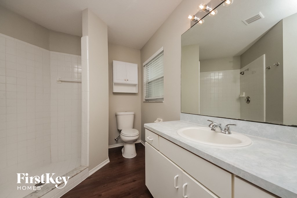 a bathroom with a sink and a toilet and a mirror