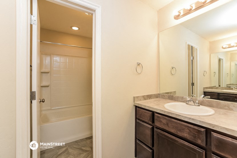 a bathroom with a sink and a mirror and a shower