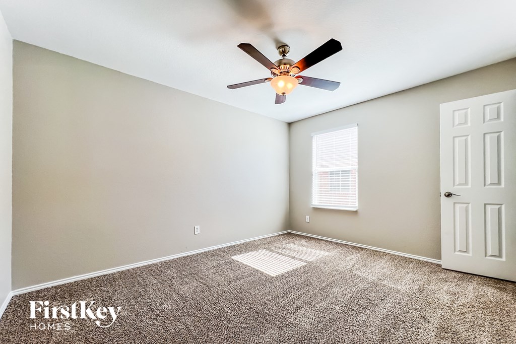 the living room has a ceiling fan and a carpet