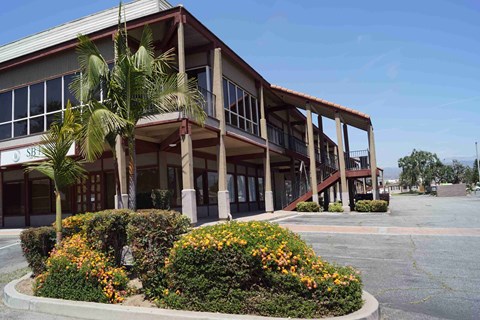 A building with a red roof and a palm tree in front.