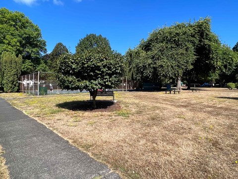 A park with a tree, a bench and a fence.