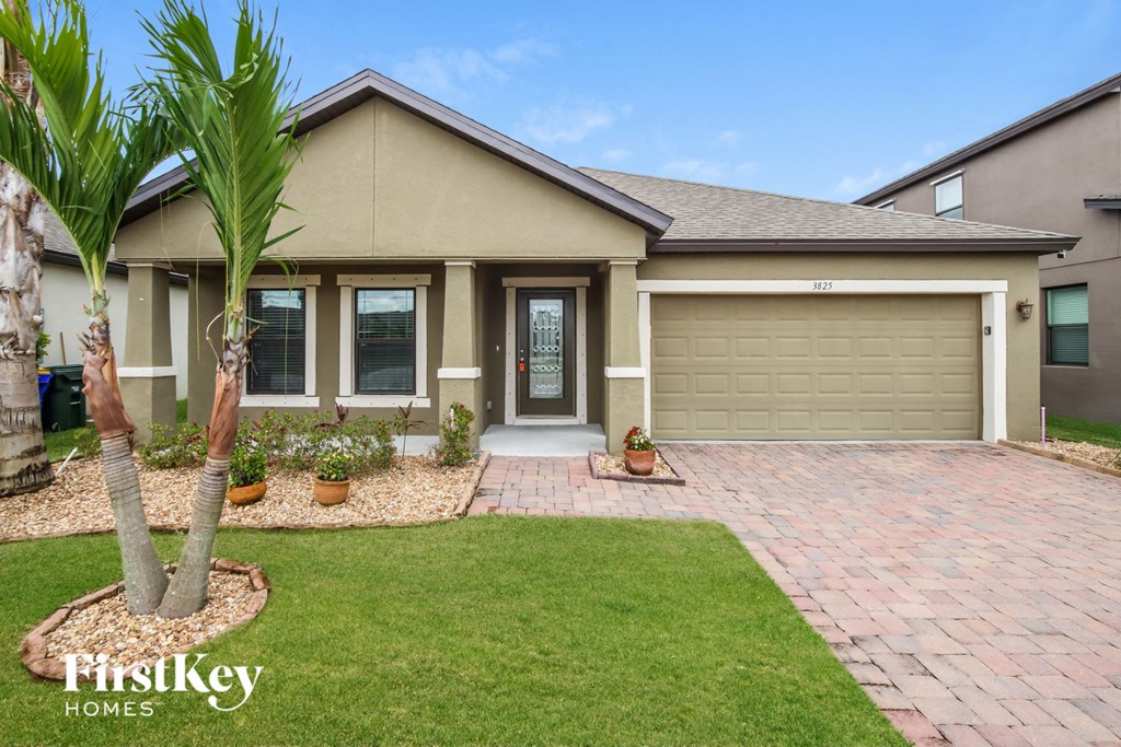 A house with a driveway and a palm tree in front of it.