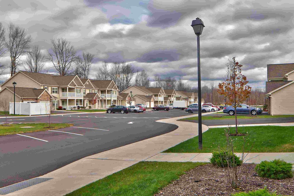 a street with houses in a subdivision with a street light