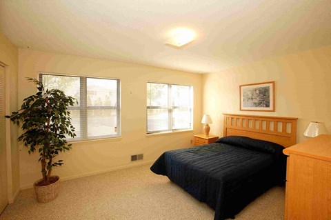 a bedroom with a bed and a plant