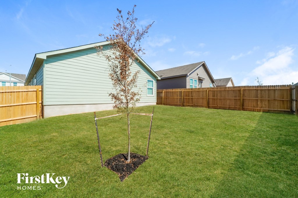 a newly planted tree in a yard next to a fence