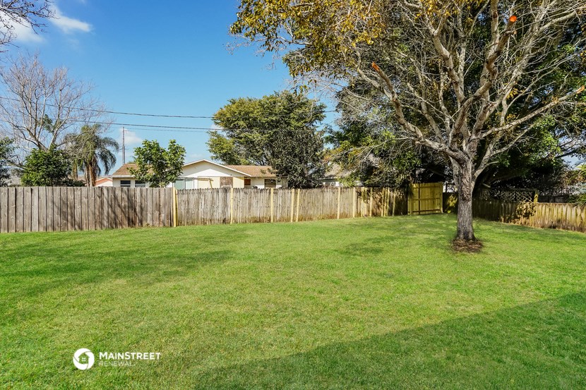 a backyard with a tree and a wooden fence