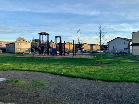 A playground with a swing set and a tree in the foreground.