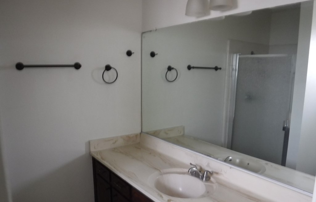 a bathroom with a sink and a mirror and a shower