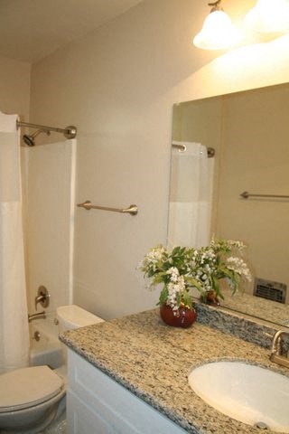 a bathroom with a sink and a toilet and a mirror