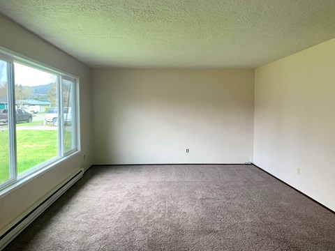 A room with a carpeted floor and a window overlooking a grassy area.