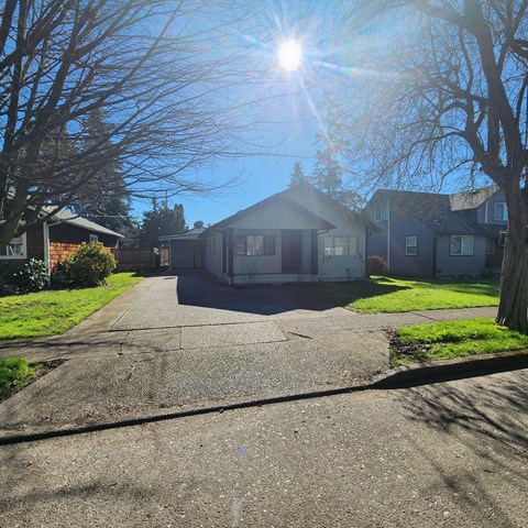 A sunny day in a residential area with houses and bare trees.