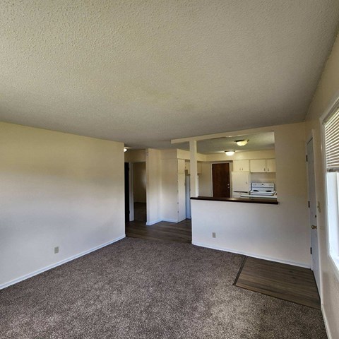 A spacious room with a carpeted floor and a reception desk.