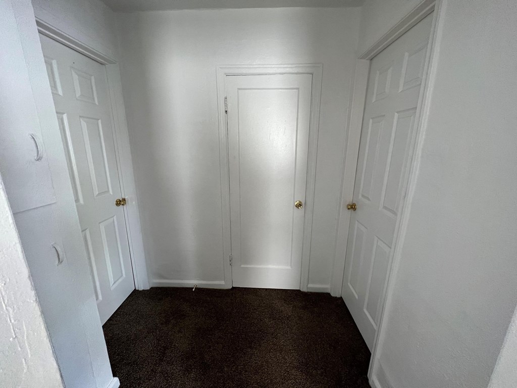 a bedroom with two closets and a carpeted floor