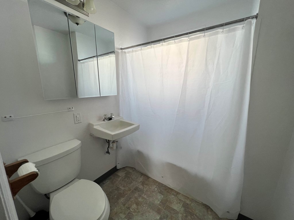 a bathroom with a toilet and a sink and a shower curtain