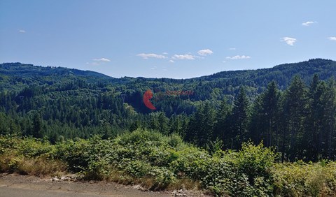 402 Suthard Road 2 Beds House for Rent - Photo Gallery 19