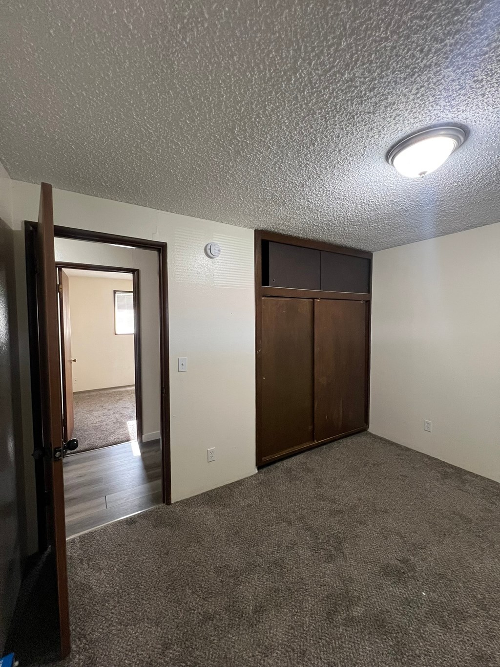 A room with a carpeted floor and a ceiling light.