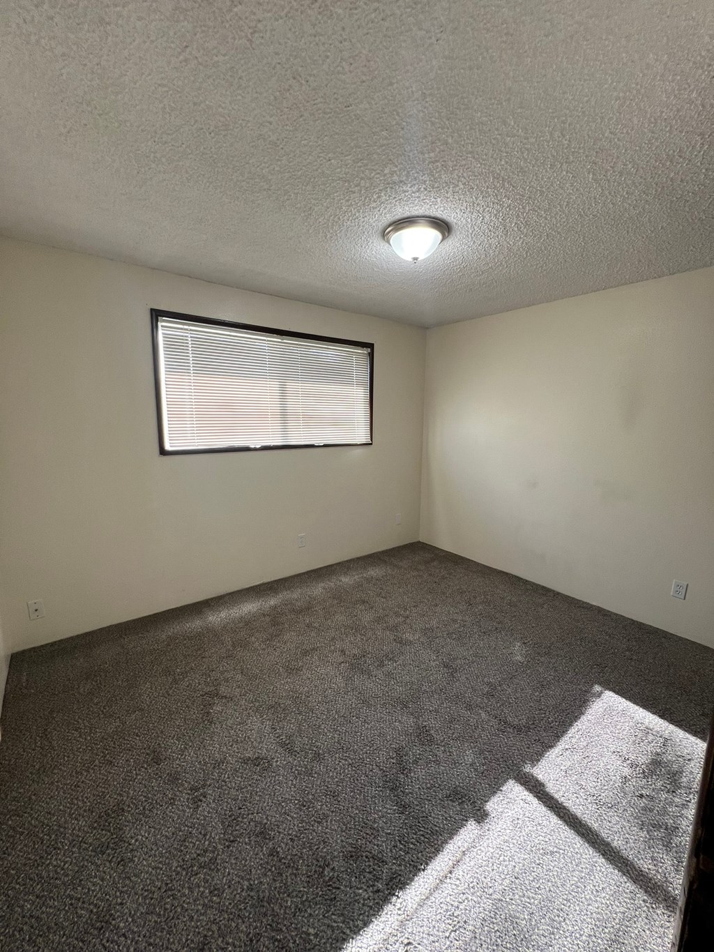 A room with a window and a carpeted floor.