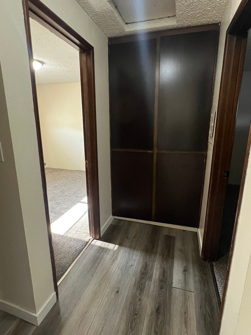 A room with a wooden floor and a brown door.