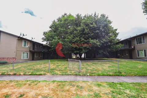 A tree in front of a building with a red sign that says "BRODMAN".