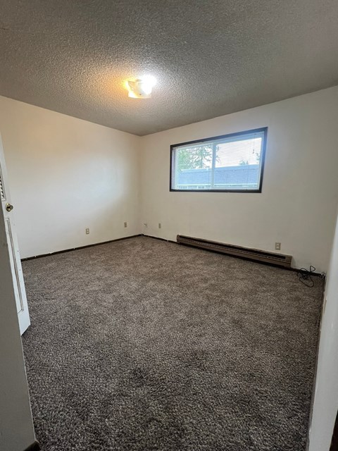 A room with a carpeted floor and a window.