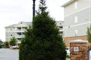 Cheap Apartments In Reading Pa Cheap Apartments In Reading Pa