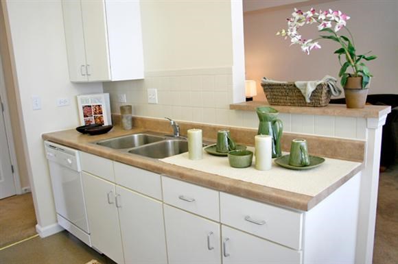 a kitchen with a sink and white cabinets
