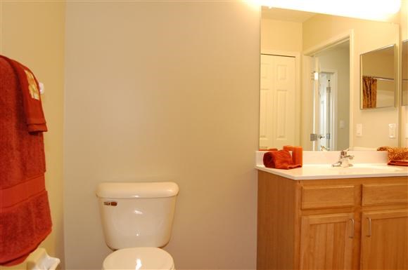 a bathroom with a toilet and a sink and a mirror