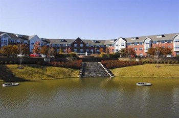 1045 E.H. Crump Blvd 1-4 Beds Apartment for Rent - Photo Gallery 5
