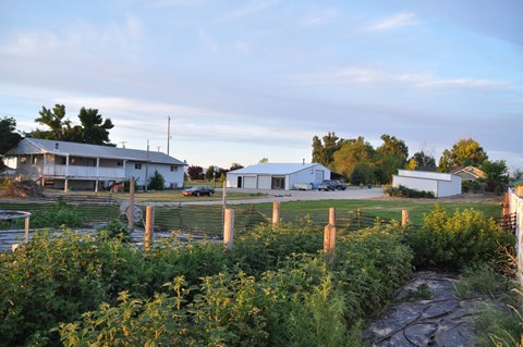 a view of a farm with houses in the background