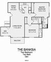 Banksia