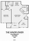Windflower
