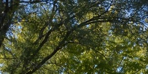 Parkland Green | Apartments in New Berlin, WI